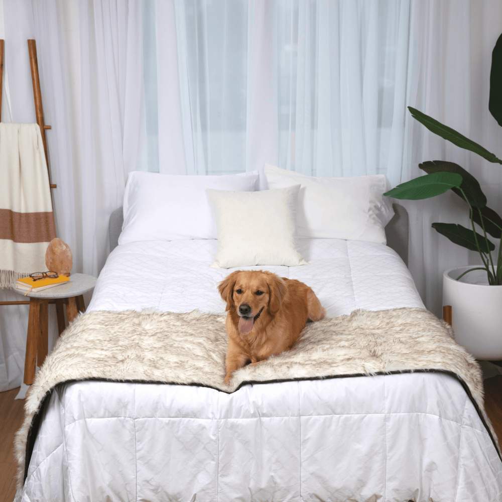 A golden retriever is sitting on a bed that features the Paw PupProtector™ Waterproof Bed Runner - White with Brown Accents