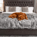 A golden retriever is sleeping on a bed with the Paw PupProtector™ Waterproof Throw Blanket - Charcoal Grey Pet Blanket