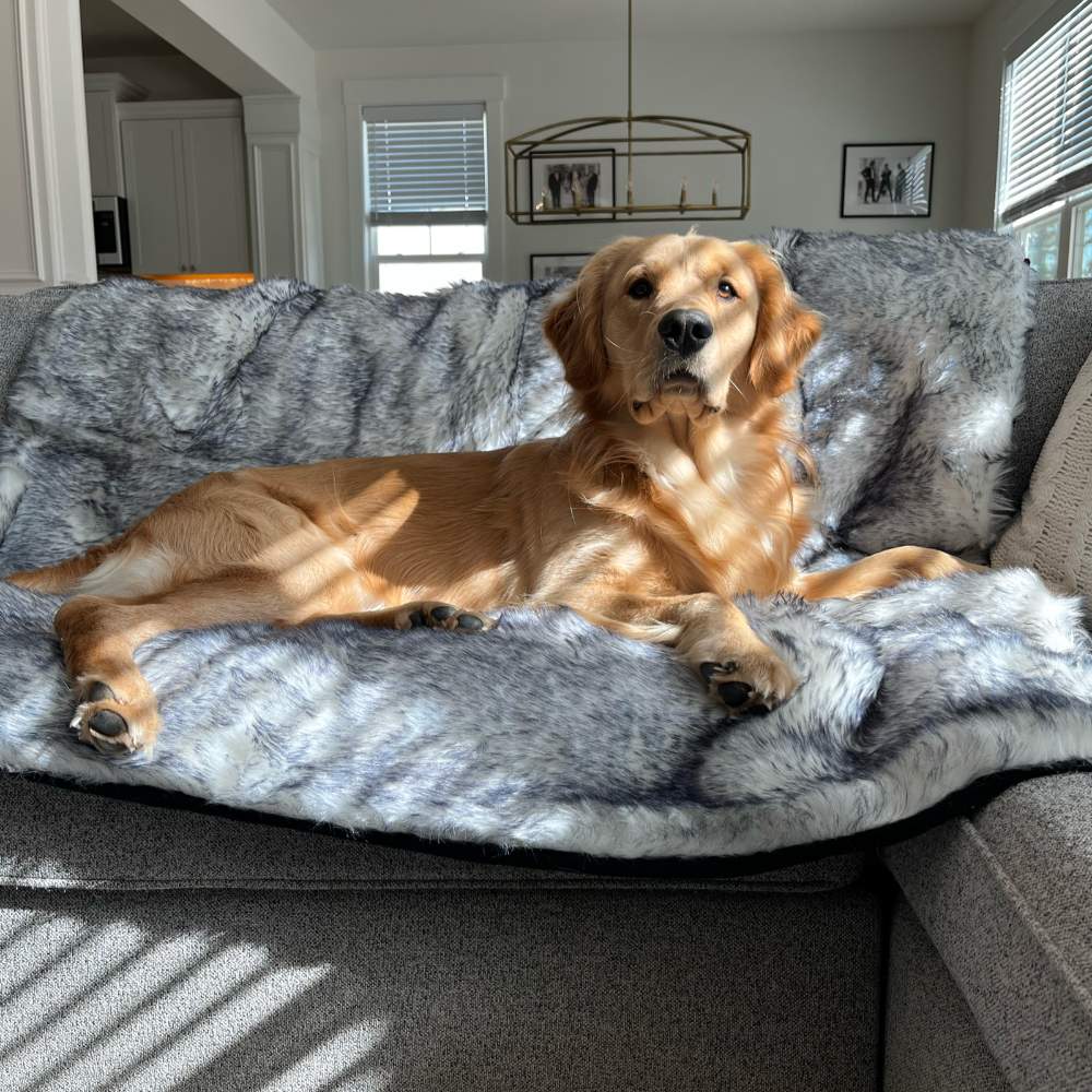 A golden retriever lounges on a couch covered with the Paw PupProtector™ Waterproof Throw Blanket - Ultra Plush Arctic Fox