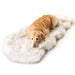 A golden retriever lying on a Paw PupRug™ Runner Faux Fur Memory Foam Dog Bed Curve White with Brown Accents against a plain white background