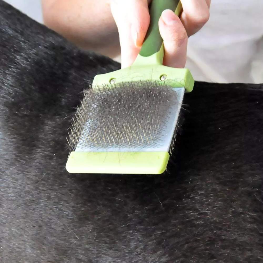 A hand is using the Safari Dog Flexible Slicker Brush - Small on a black dog's fur