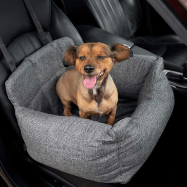 A happy brown dog with a shaved coat is sitting in the front seat of a car on a Paw PupProtector™ Memory Foam Dog Car Bed - Single Seat