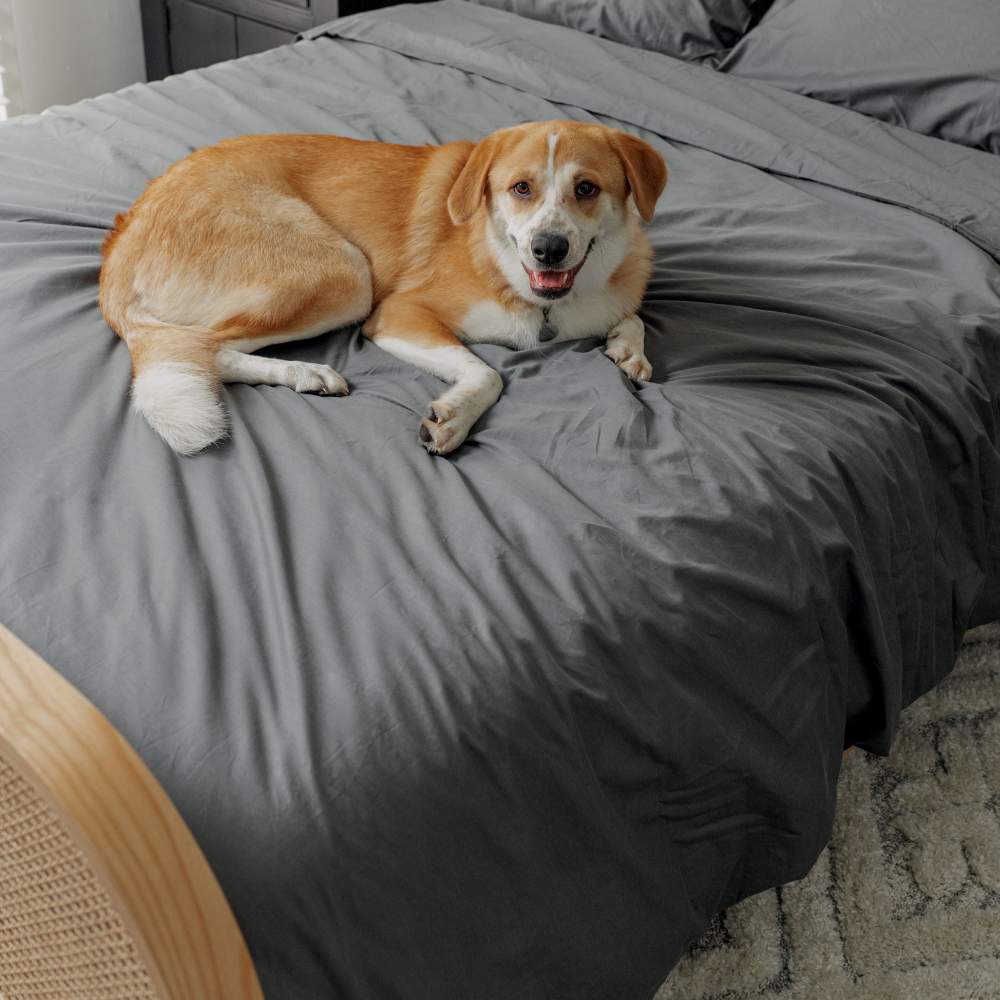 A happy dog lies comfortably on a bed featuring the Paw PupSheets™ Hair Resistant, Antimicrobial, & Cooling Duvet Cover and Sham Set - Graphite