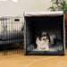 A happy dog sits inside a black wire crate lined with soft grey padding from the Paw Upgrade Your Dog Crate Kit - Charcoal Grey