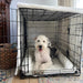 A happy dog sits inside a black wire crate with a soft white interior, showcasing the cozy Paw Upgrade Your Dog Crate Kit - Polar White