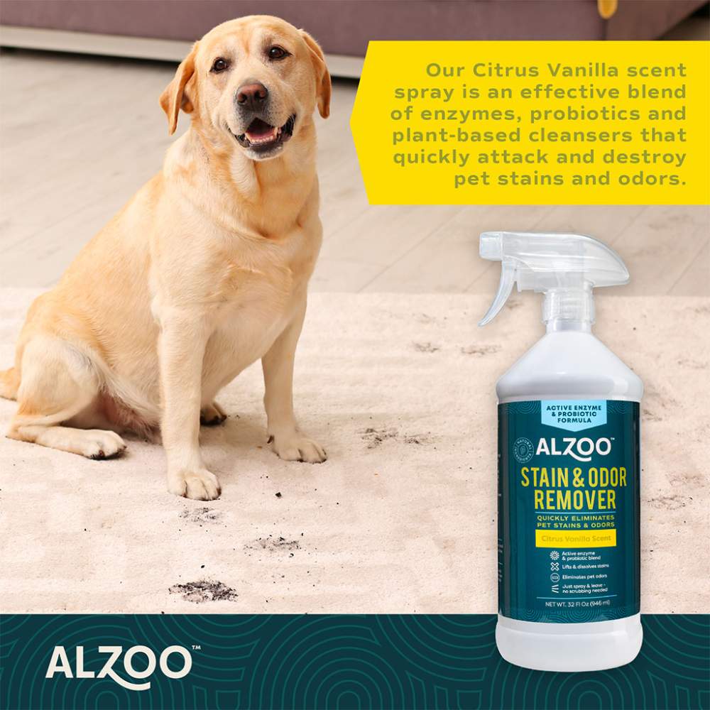 A happy dog sits on a light-colored rug with visible paw prints and next to a bottle of ALZOO Enzyme-Based Stain & Odor Remover Spray 32oz - Citrus Vanilla