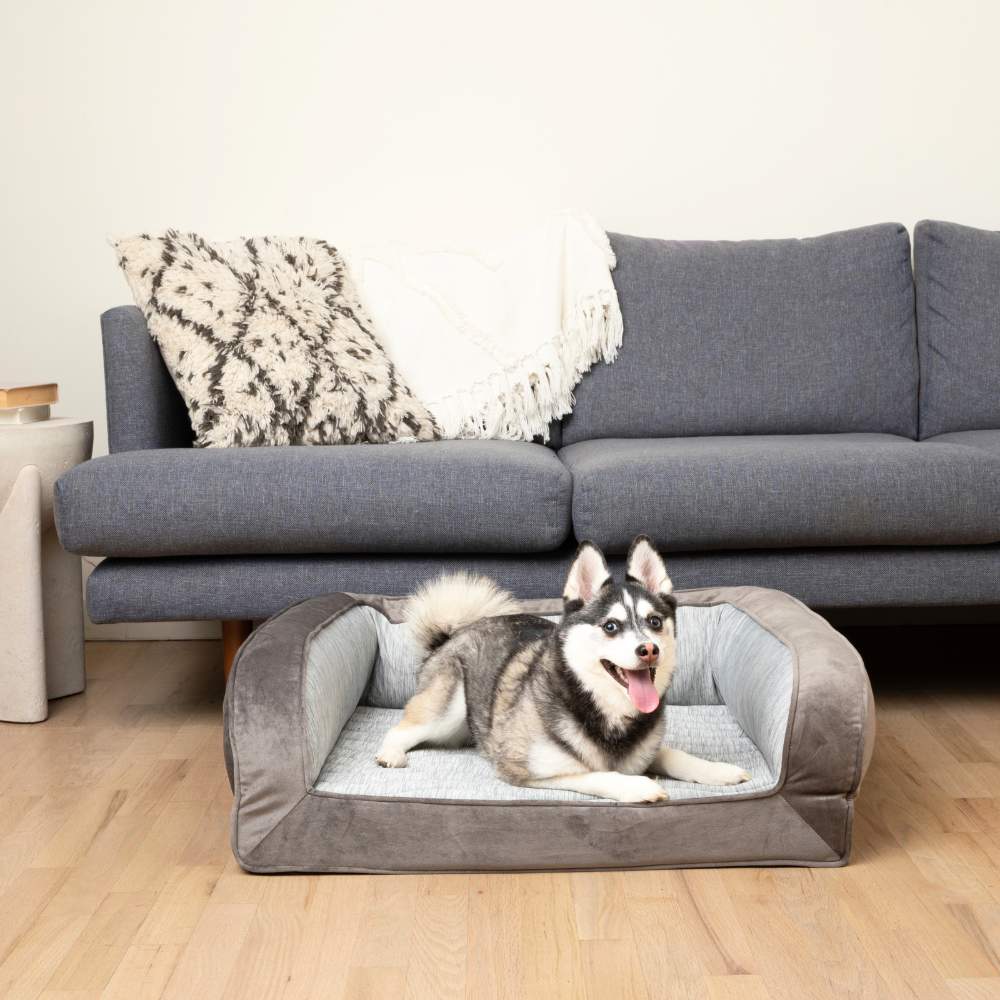 A happy husky is panting while relaxing on the Paw PupChill™ Cooling Bolster Dog Bed, in front of a gray sofa