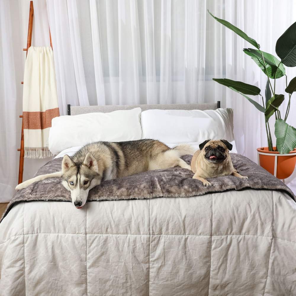 A husky and a pug are comfortably resting on a bed covered with the Paw PupProtector™ Waterproof Bed Runner - Ultra Soft Chinchilla