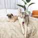 A husky and a pug are relaxing on a bed covered with the Paw PupProtector™ Waterproof Throw Blanket - White with Brown Accents Puppy Blanket