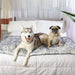 A husky and a pug are sitting together on a bed with the Paw PupProtector™ Waterproof Bed Runner - Ultra Plush Arctic Fox