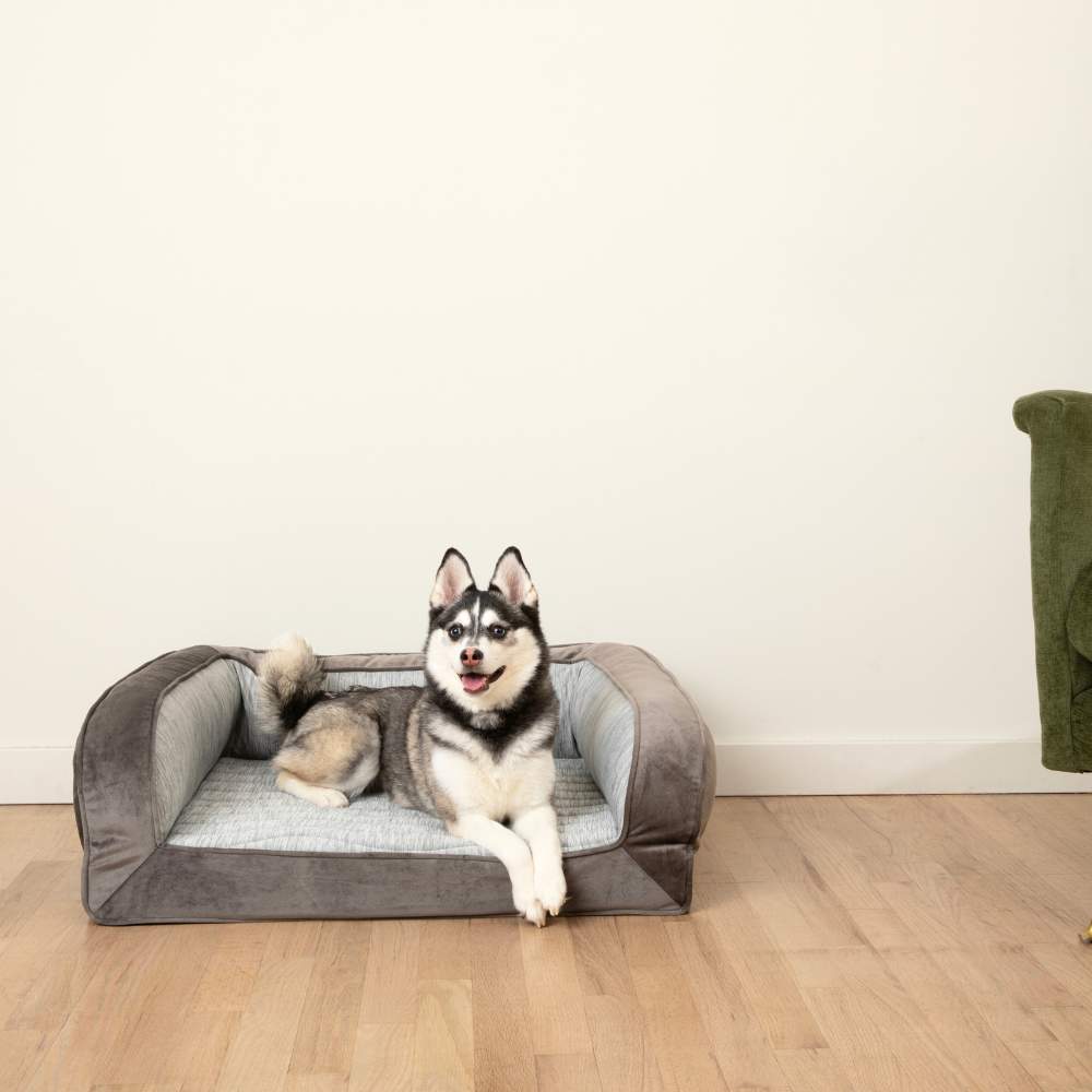 A husky is comfortably lounging on the Paw PupChill™ Cooling Bolster Dog Bed, with a background of a minimalistic room
