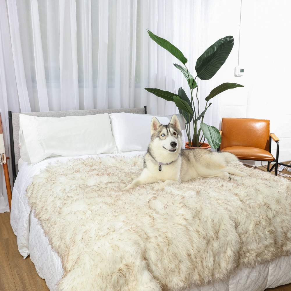 A husky is comfortably lying on a bed draped with the Paw PupProtector™ Waterproof Throw Blanket - White with Brown Accents Doggy Blanket