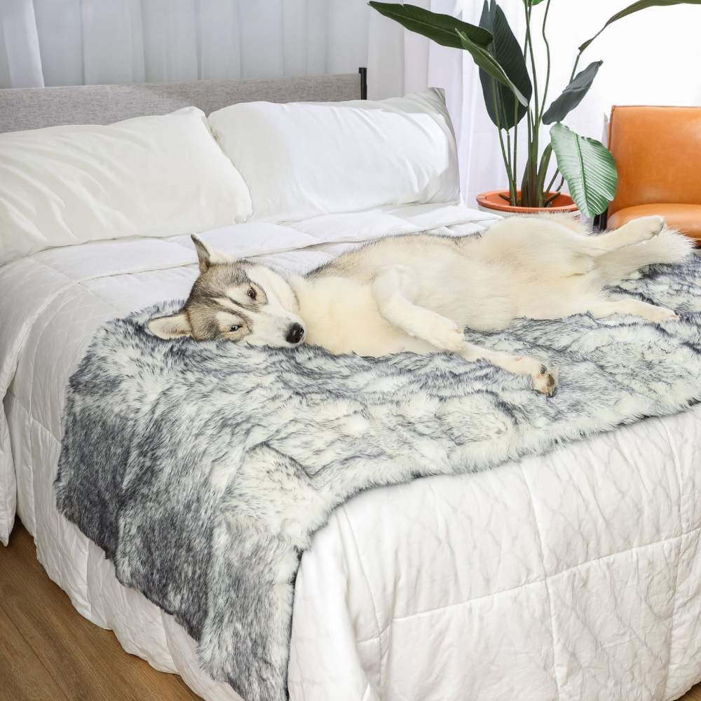 A husky is comfortably lying on a bed with the Paw PupProtector™ Waterproof Bed Runner - Ultra Plush Arctic Fox