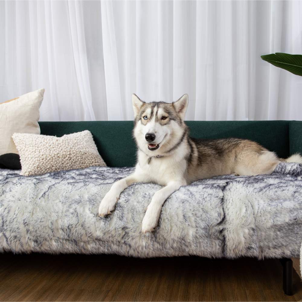 A husky is comfortably lying on a sofa with the Paw PupProtector™ Waterproof Bed Runner - Ultra Plush Arctic Fox Indestructible Dog Blanket