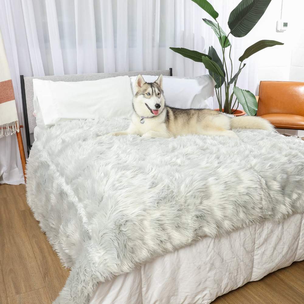 A husky is lounging on a bed covered with the Paw PupProtector™ Waterproof Throw Blanket - Grey Dog Bed Blankets