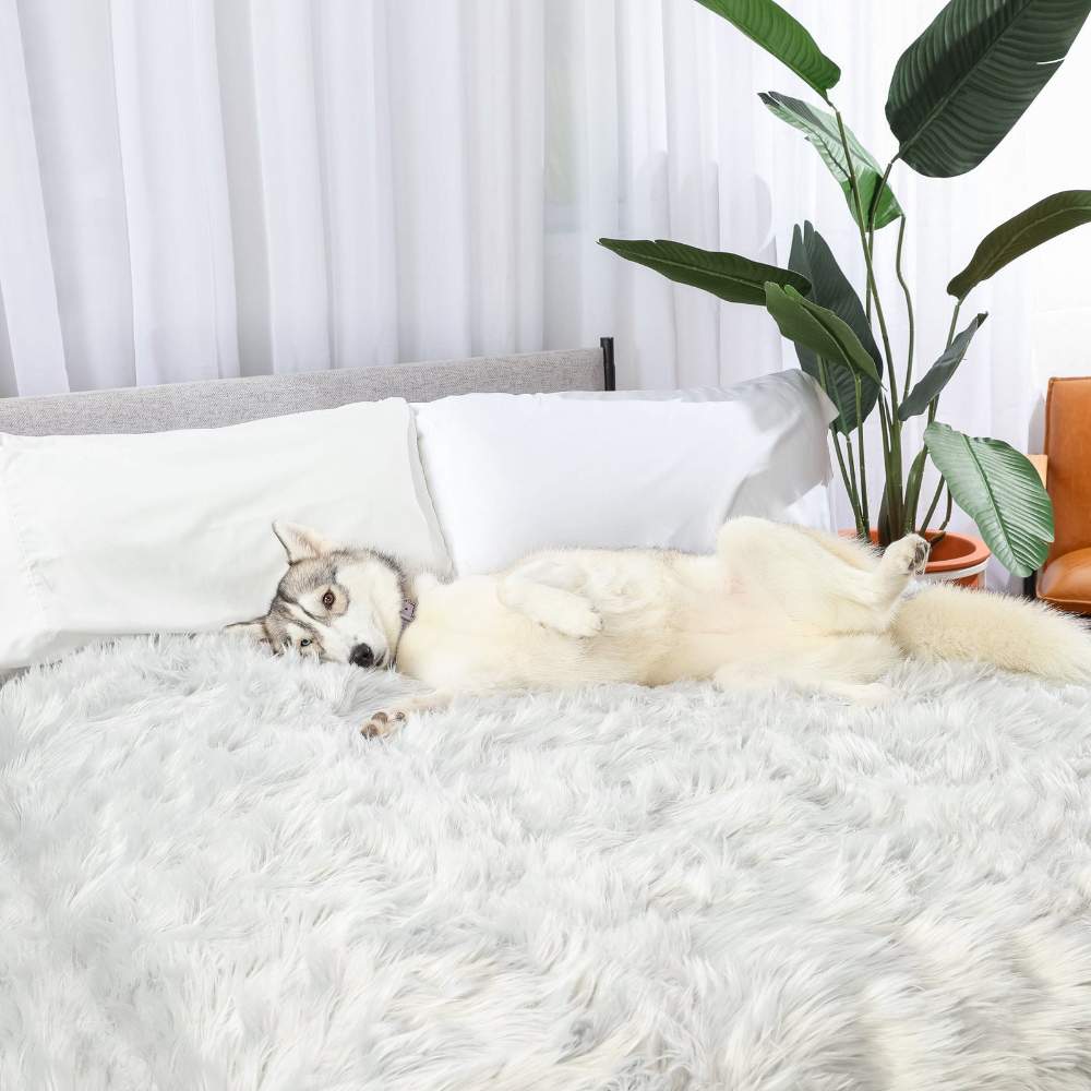 A husky is lying comfortably on a bed covered with the Paw PupProtector™ Waterproof Throw Blanket - Grey Best Dog Blankets