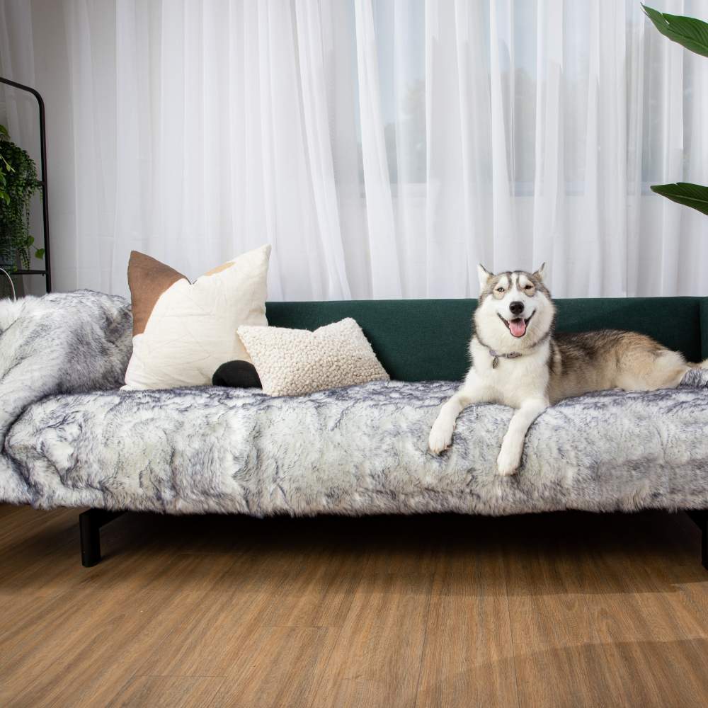 A husky is lying on a sofa covered with the Paw PupProtector™ Waterproof Bed Runner - Ultra Plush Arctic Fox Dog Blanket For Couch