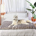 A husky is lying on the bed, looking regal on the Paw PupProtector™ Waterproof Bed Runner - Ultra Soft Chinchilla