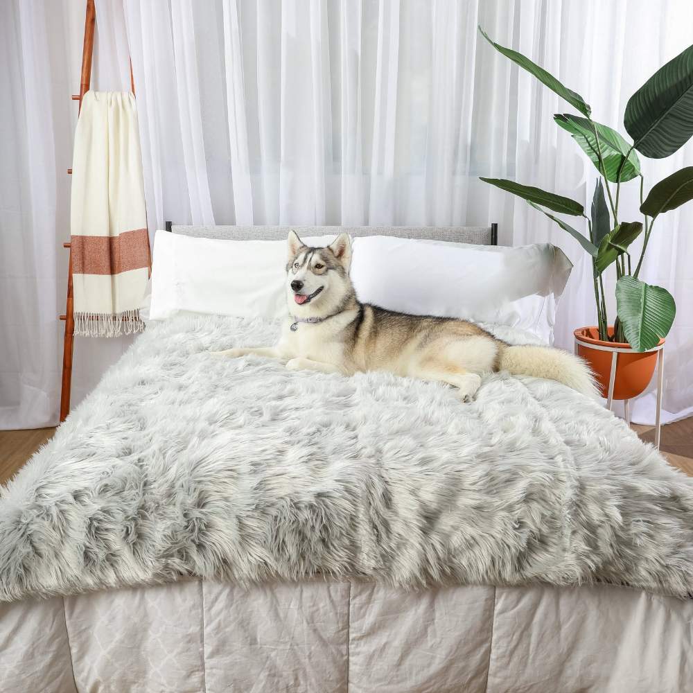 A husky is resting happily on a bed with the Paw PupProtector™ Waterproof Throw Blanket - Grey Dog Blankets For Beds