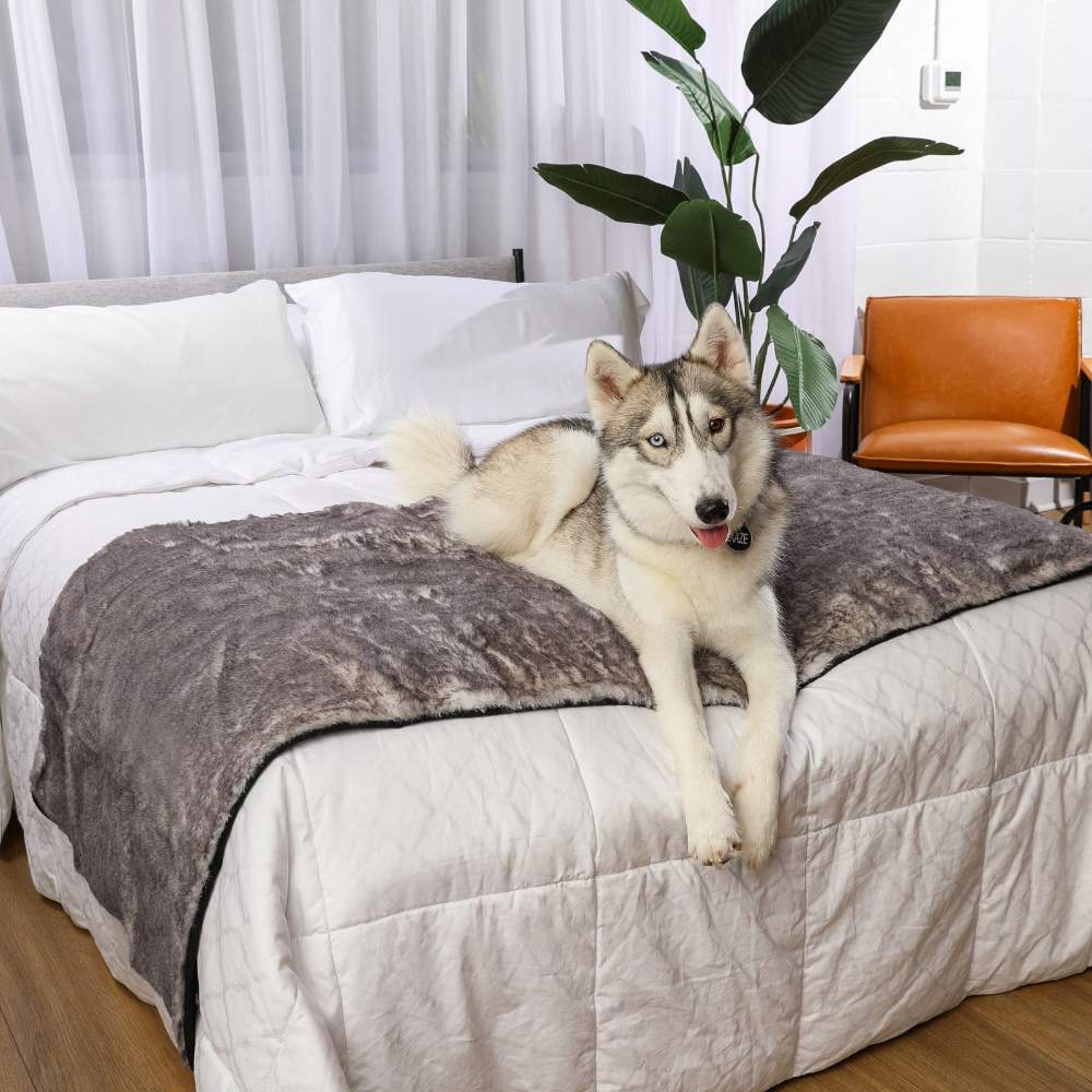 A husky is resting on a bed with the Paw PupProtector™ Waterproof Bed Runner - Ultra Soft Chinchilla, looking content