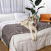 A husky is resting on a bed with the Paw PupProtector™ Waterproof Bed Runner - Ultra Soft Chinchilla, looking content