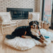A large black, white, and brown dog is resting on the Curve Polar White Paw PupRug Faux Fur Orthopedic Dog Bed in a stylish living room with a brick fireplace