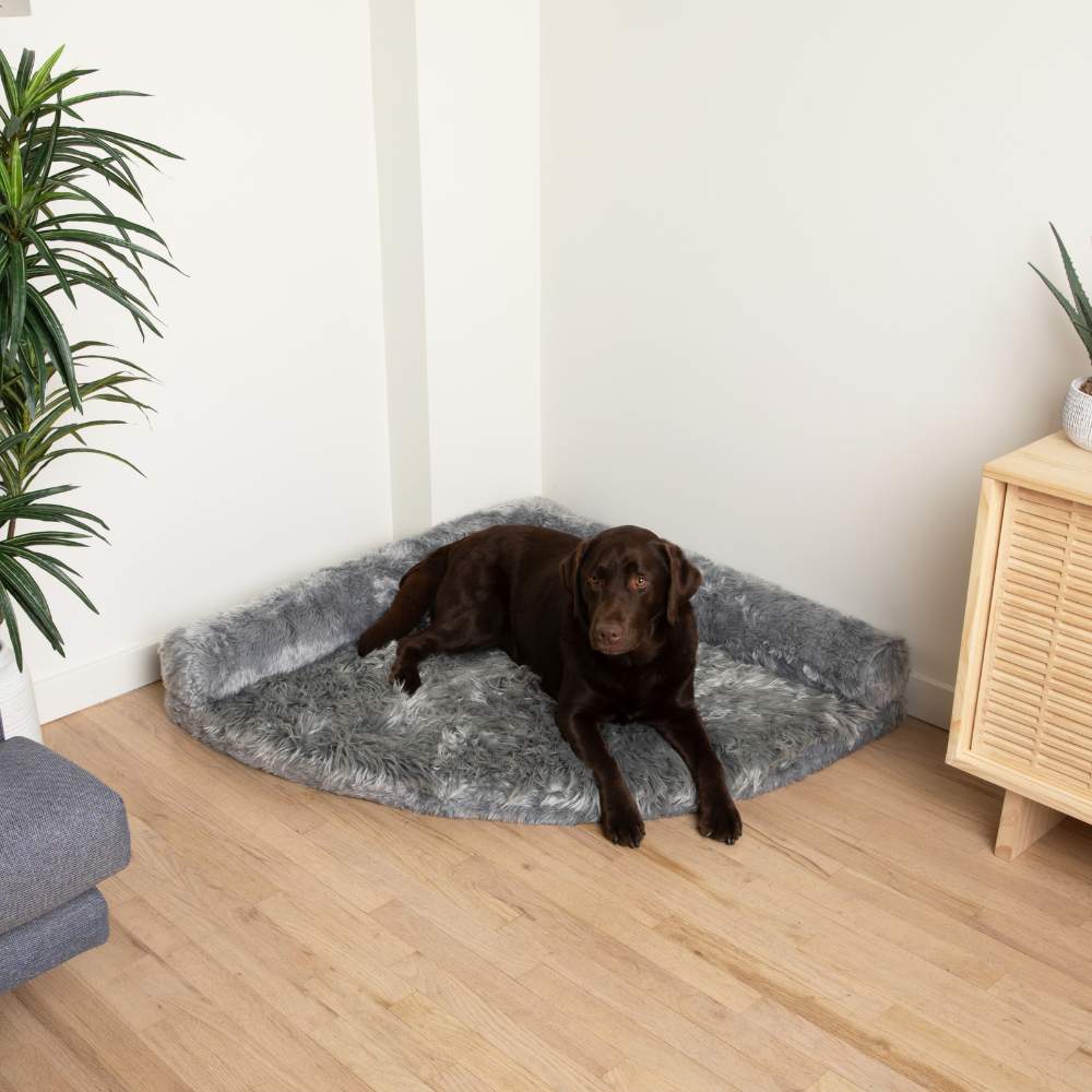 A large chocolate Labrador is comfortably positioned on the Charcoal Grey Paw PupRug™ Memory Foam Corner Dog Bed in a room corner
