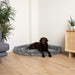A large chocolate Labrador is lying on the Charcoal Grey Paw PupRug™ Memory Foam Corner Dog Bed, positioned in the corner near a wooden cabinet and a green plant
