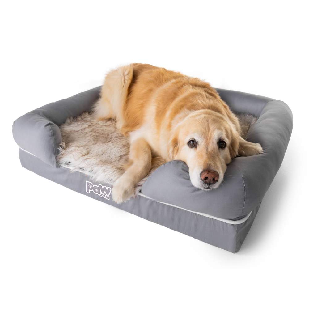 A large dog comfortably resting on the Paw PupLounge™ Memory Foam Bolster Dog Bed & Topper, emphasizing its spacious and supportive design