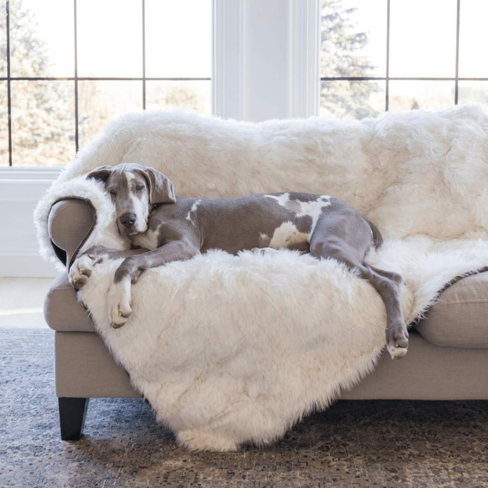 A large grey and white dog is lounging on a couch draped with the Paw PupProtector™ Waterproof Throw Blanket - White with Brown Accents