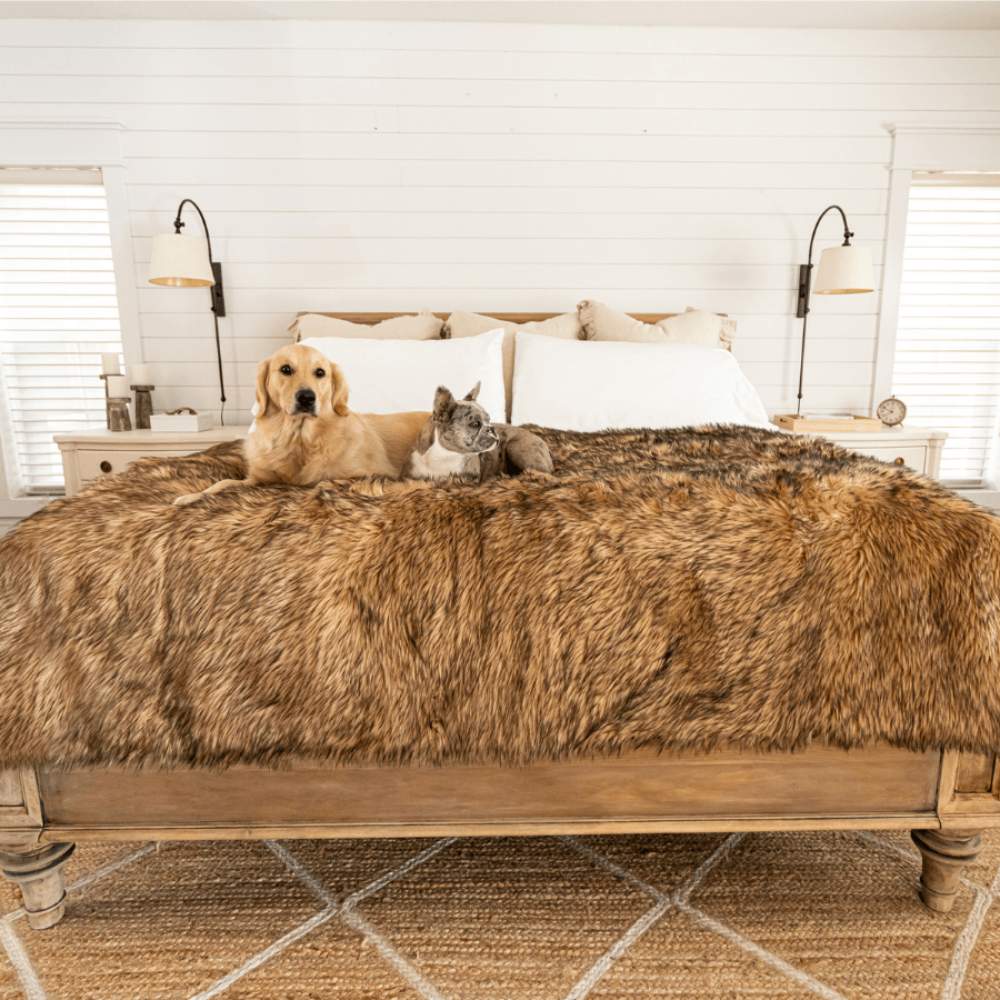A light-colored dog and a cat are relaxing together on a bed featuring a Paw PupProtector™ Waterproof Throw Blanket - Sable Tan