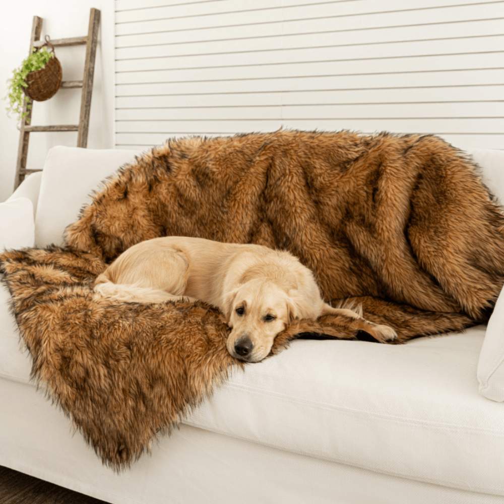 A light-colored dog is cozily nestled on a white sofa with a Paw PupProtector™ Waterproof Throw Blanket - Sable Tan Dog Blankets