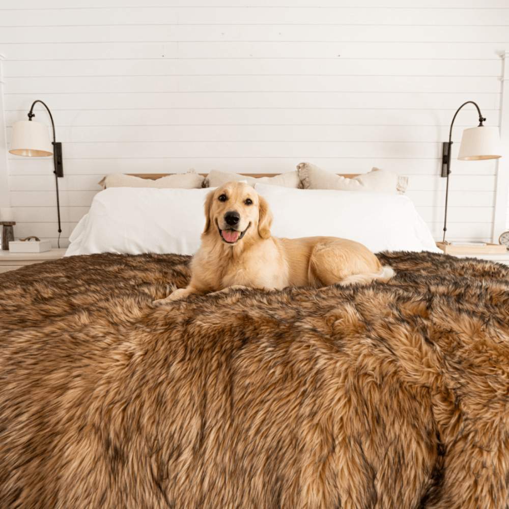 A light-colored dog is happily sitting on a bed with a Paw PupProtector™ Waterproof Throw Blanket - Sable Tan