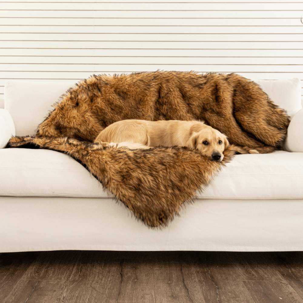 A light-colored dog is resting on a white couch draped with a Paw PupProtector™ Waterproof Throw Blanket - Sable Tan Dog Blanket