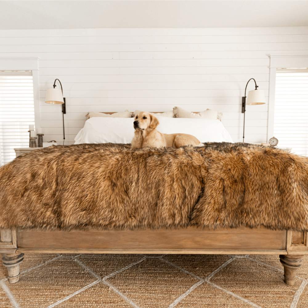 A light-colored dog is sitting on a bed adorned with a Paw PupProtector™ Waterproof Throw Blanket - Sable Tan Dog Couch Cover Blanket