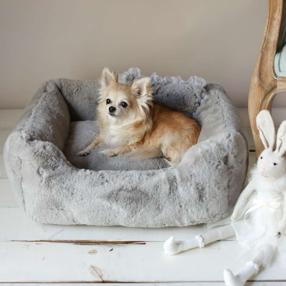 An image captures a small dog comfortably lounging in the Hello Doggie Divine Dog Bed in gray, demonstrating the bed's cozy and inviting appearance