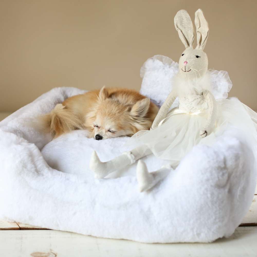An image shows a small dog peacefully sleeping in the Hello Doggie Divine Dog Bed in white, accompanied by a plush rabbit toy