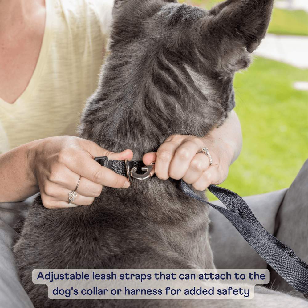 A person adjusting a leash strap on a dog's collar, demonstrating the safety feature of the Paw PupProtector™ Memory Foam Dog Car Bed