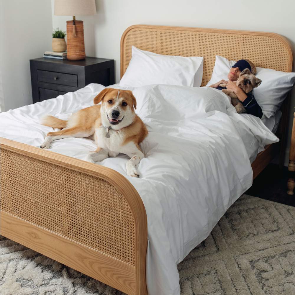 A person cuddles with a small dog while another larger dog lounges at the foot of a bed covered with the Paw PupSheets™ Hair Resistant, Antimicrobial, & Cooling Duvet Cover and Sham Set - White