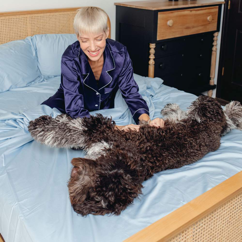 A person in navy pajamas plays with a large dog on a bed with light blue sheets, emphasizing the Paw PupSheets™ Hair Resistant, Antimicrobial, & Cooling Bed Sheet Set - Sky Blue