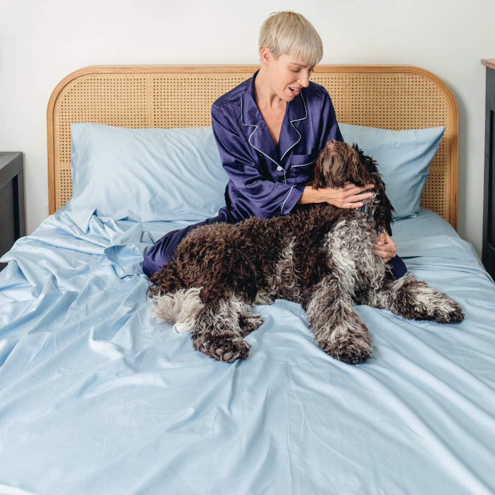 A person in navy pajamas sits on a bed with a large dog, highlighting the Paw PupSheets™ Hair Resistant, Antimicrobial, & Cooling Bed Sheet Set - Sky Blue