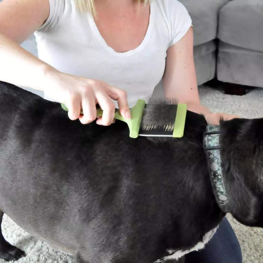 A person is using the Safari Dog Flexible Slicker Brush - Medium by Coastal Pet Products to groom a black dog