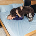 A person laughs while hugging a large dog on a bed with light blue sheets, emphasizing the Paw PupSheets™ Hair Resistant, Antimicrobial, & Cooling Bed Sheet Set - Sky Blue