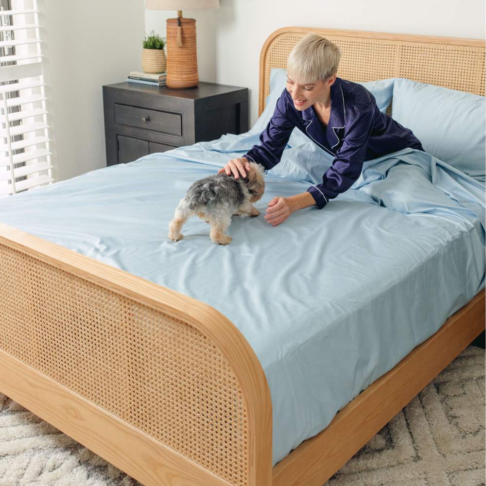 A person plays with a small dog on a bed, showcasing the Paw PupSheets™ Hair Resistant, Antimicrobial, & Cooling Bed Sheet Set - Sky Blue