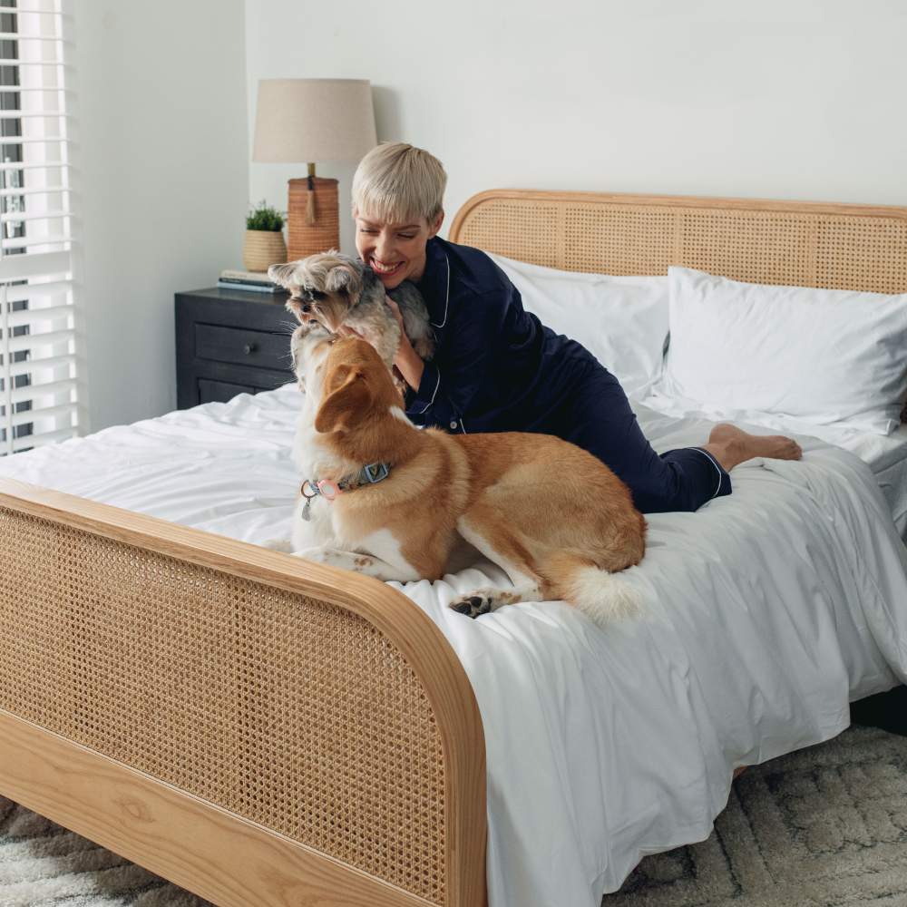 A person sitting on a bed with two dogs, enjoying the comfort of the Paw PupSheets™ Hair Resistant, Antimicrobial, & Cooling Duvet Cover and Sheet Set Bundle - White