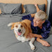 A person smiles while lying next to a large dog on a bed with gray sheets, highlighting the Paw PupSheets™ Hair Resistant, Antimicrobial, & Cooling Bed Sheet Set - Graphite
