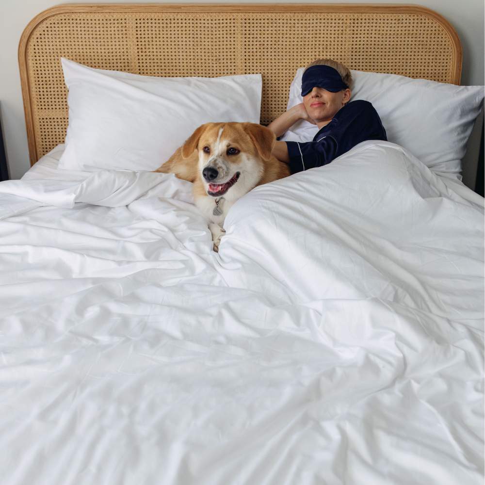 A person wearing an eye mask relaxes in bed with a happy dog on the Paw PupSheets™ Hair Resistant, Antimicrobial, & Cooling Duvet Cover and Sham Set - White