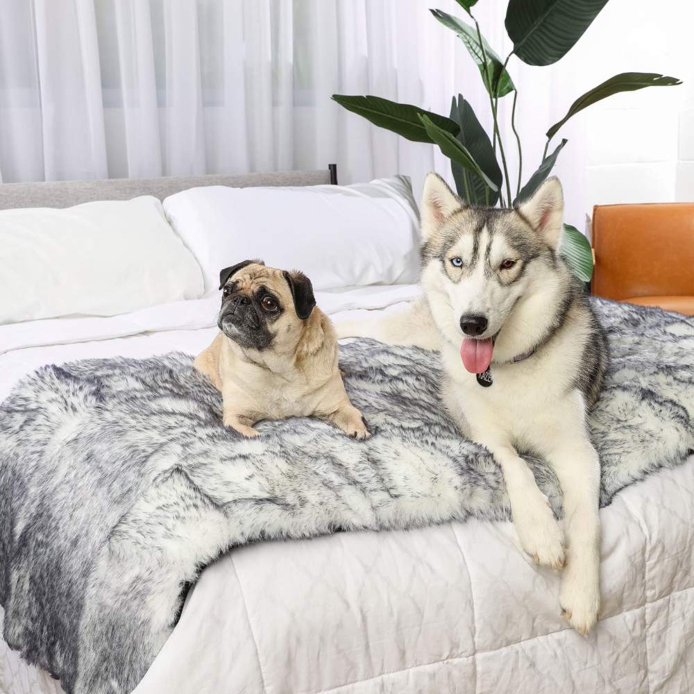 A pug and a husky are both resting on a bed covered with the Paw PupProtector™ Waterproof Bed Runner - Ultra Plush Arctic Fox