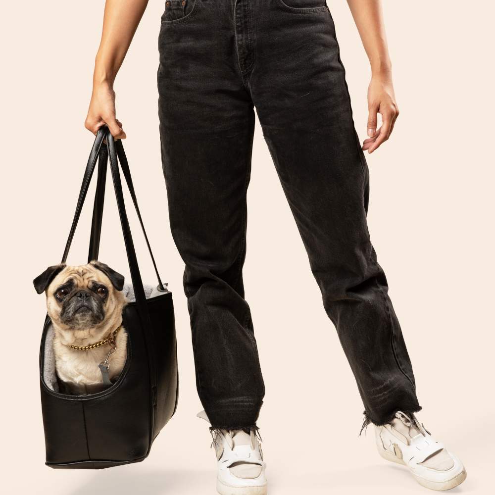 A pug being carried by a person in the Paw PupTote™ 3-in-1 Faux Leather Dog Carrier Bag - Black