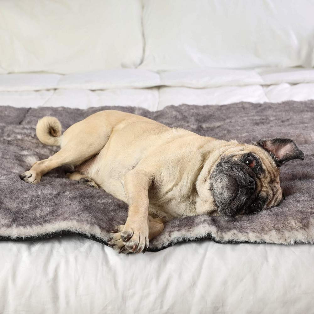 A pug is lounging on a bed, enjoying the cozy surface of the Paw PupProtector™ Waterproof Bed Runner - Ultra Soft Chinchilla